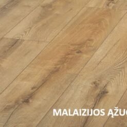 MALAIZIJOS ĄŽUOLAS