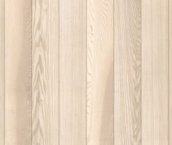 motivo basic dailylentė