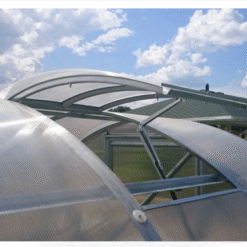 Stoglangiai / Orlaidės