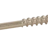 TERASINIAI SRAIGTAI